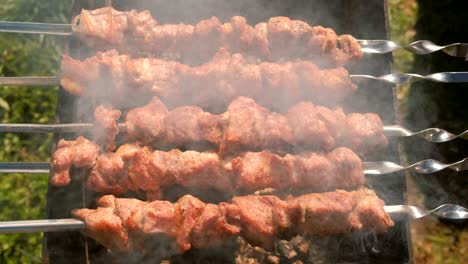 appetizing juicy pork barbecue is roasted on skewers on top of charcoal grill. close-up meat pieces.