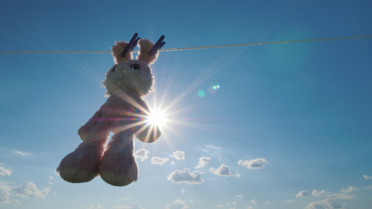 conejo de peluche colgando de una cuerda secado al sol video 4k