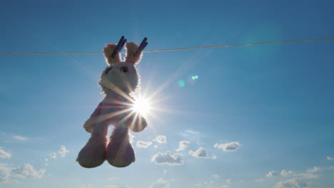 conejo de peluche colgando de una cuerda secado al sol video 4k
