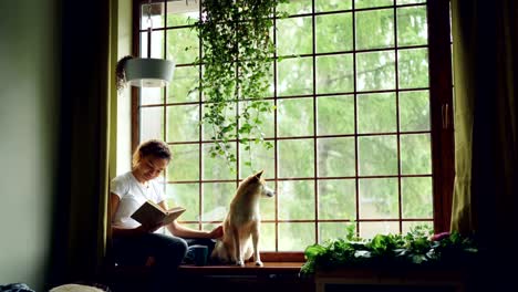 attractive african american girl student is reading book and stroking her purebred dog sitting on window ledge in modern apartment. hobby, animals and interior concept.