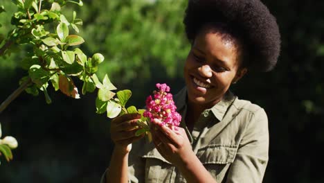 Sonriente-Mujer-Mayor-Afroamericana-Sosteniendo-Una-Planta-Con-Flores-En-Un-Jardín-Soleado