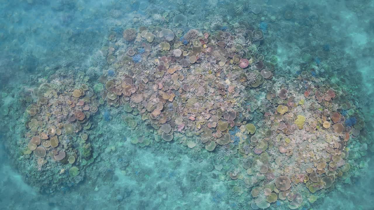 sistema de arrecifes de coral vibrantes y impresionantes de colores desde arriba en la gran barrera de arrecifes