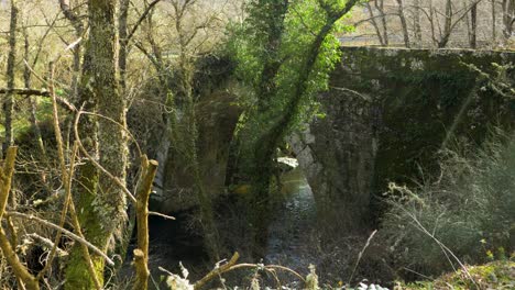 Alte-überwucherte-Verwitterte-Steinbrücke-In-Banos-De-Molgas,-Ourense,-Spanien