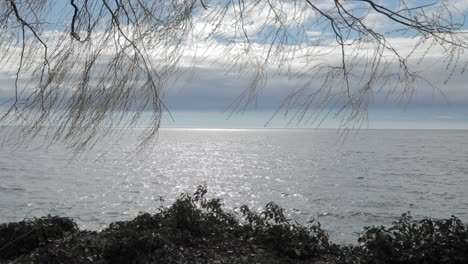 Beautiful view of the lake in switzerland with branches in the foreground, panning from left to right. 4K