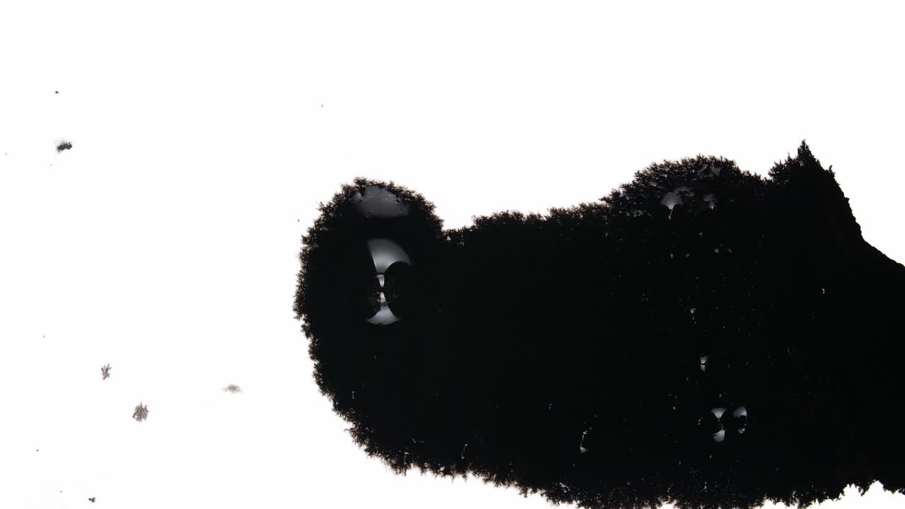 Black Ink Drops On White Background