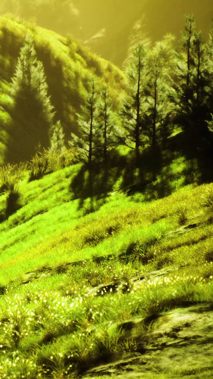 Colline illuminate dal sole con erba verde e alberi alti all'ora d'oro nella natura