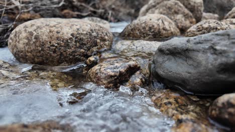 a frozen creek with rocks and ice in a winter forest, creating a serene natural atmosphere