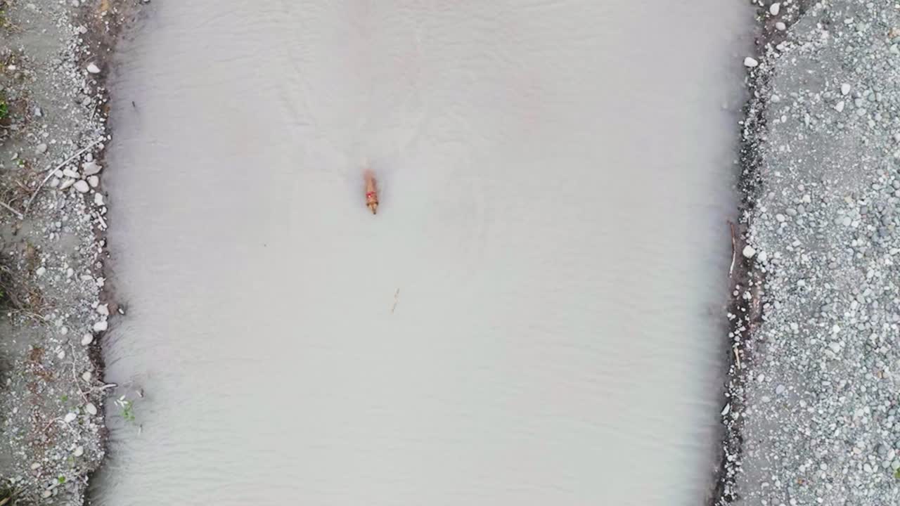 연못에 던져진 막대기를 가져오는 골든 리트리버