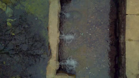 elevating from a holy well in the english countryside