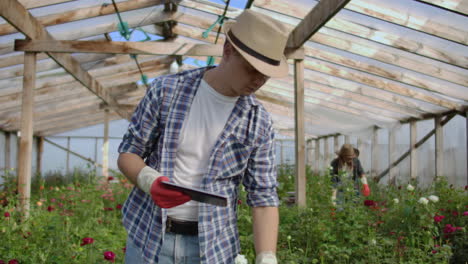 el joven empresario propietario de un invernadero está haciendo un inventario en el invernadero contando plantas y ingresando información en la tableta. el hombre atractivo está ocupado comprobando la vegetación.