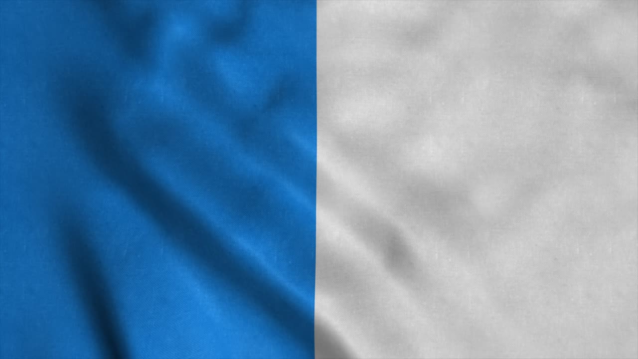 아자치오의 발, 프랑스의 도시, 바람에 흔들리는. 현실적인 발 배경