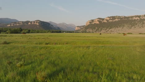 amplio valle verde en la cuenca de la luz del sol, wyoming con montañas lejanas y un cielo despejado