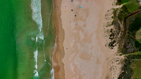 Sudáfrica-Jbay-Jeffreys-Bay-Antena-Ciudad-No-Tripulada-Más-Impresionante-Playa-De-Arena-Blanca-épica-Surf-Ola-Saturada-Aguamarina-Azul-Escarpado-Arrecife-Línea-Costera-Durante-El-Día-Gente-En-La-Playa-Con-Sombrillas-Verano-Mirando-Hacia-Abajo