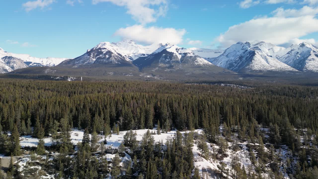 vista aérea del bosque canadiense con montañas cubiertas de nieve en el fondo - dron 4k