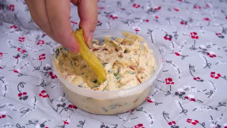 Slomo-Chip-Scoops-into-Dip-at-Picnic