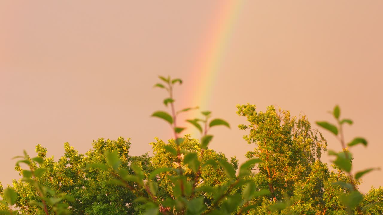 delicada vista encantadora del arco iris en la utopía