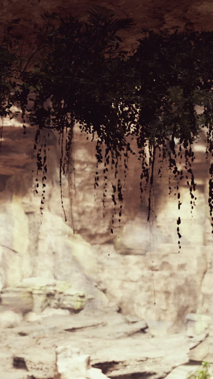 vista desde la cueva a la luz