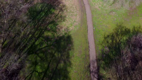 Aerial-drone-top-down-shot-over-a-path-on-the-outskirts-of-Thetford-forest,-Norfolk,-UK-on-a-sunny-day