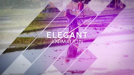 abstract agricultural landscape