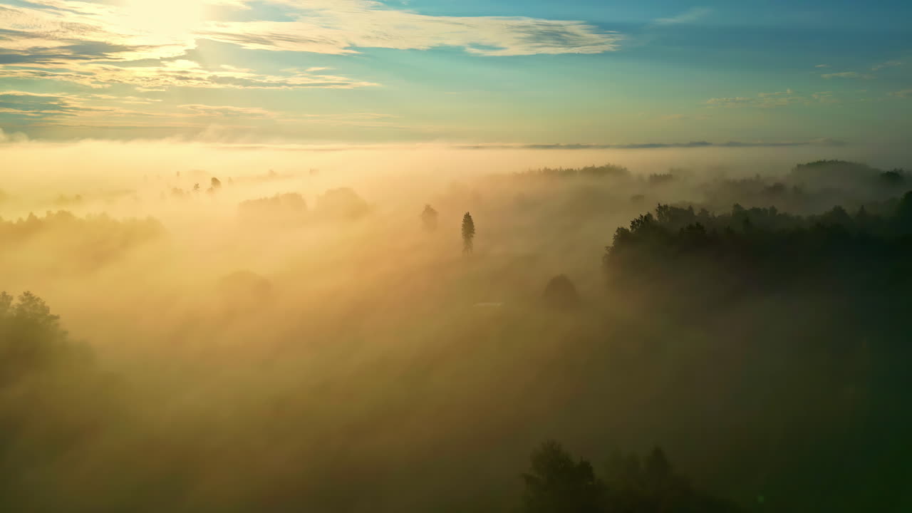 Sunrise over a Foggy Forest - Aerial View