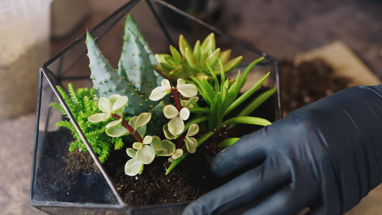 florista profesional hace florarium 1