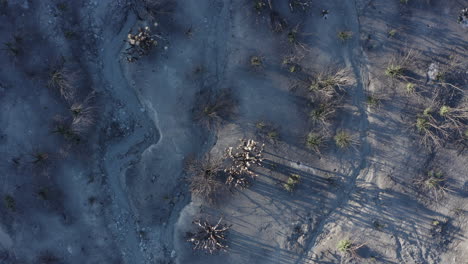 aerial view of a desolate, ash-covered landscape with sparse vegetation