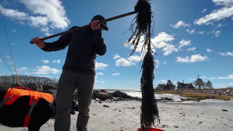 beach worker man harvesting seaweed for composting slow motion