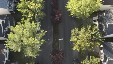 birds-eye-view-fly-over-Inverness-suburb-of-the-South-East-area-out-of-Calgary-Alberta-Canada-where-luxury-homes-resemble-vip-premium-abodes-of-Scotland-Britain1-5