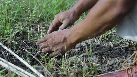 cerca de las manos de los hombres plantando plántulas de árboles en la naturaleza