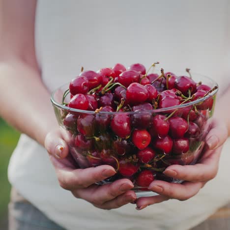 Farmer-Holds-A-Bowl-Of-Cherries