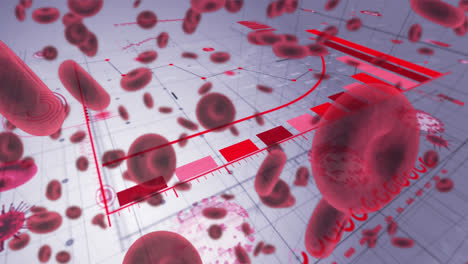 Animación-De-Covid-19-Y-Glóbulos-Rojos-Y-Procesamiento-De-Datos