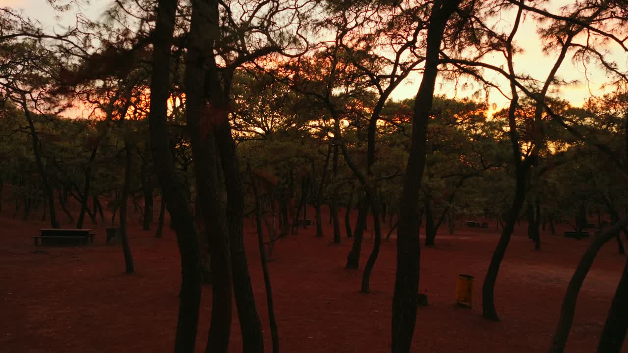 Bosque de la Primavera - Protected Natural Area In Guadalajara, Jalisco, Mexico At Sunset - Drone Shot
