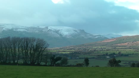 Comeragh-Mountains-Waterford-Ireland-grove-of-trees-and-late-evening-sunshine