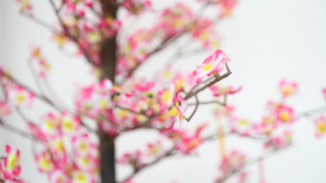 중국 신년 장식 꽃 나무