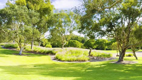 lush greenery and trees in a serene garden