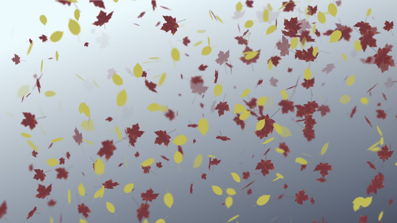 떨어지는 잎의 애니메이션 루프 가을