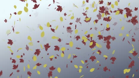 animation of falling leaves loop autumn
