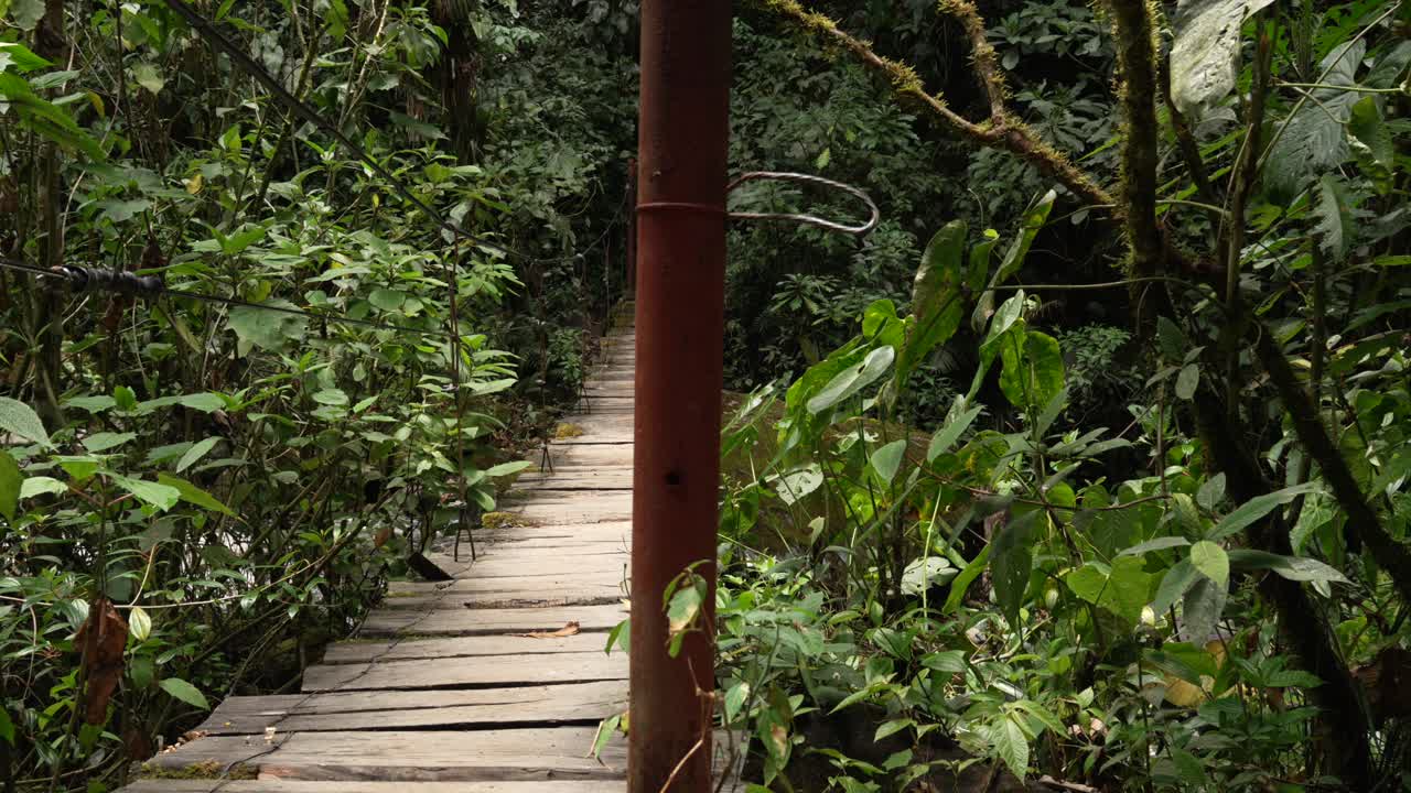 A weathered suspension bridge cuts through dense Andean jungle, Close up