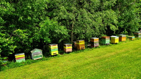 Colorful-wooden-beehives-near-forest,-aerial-view