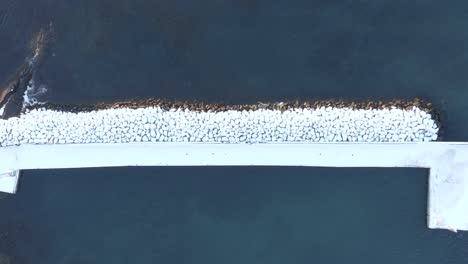 Icelandic-breakwater-covered-in-white-snow-contrast-against-blue-water
