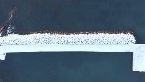 icelandic breakwater covered in white snow contrast against blue water