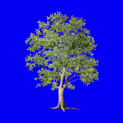 lush tree animation, transparent 4k video, green screen
