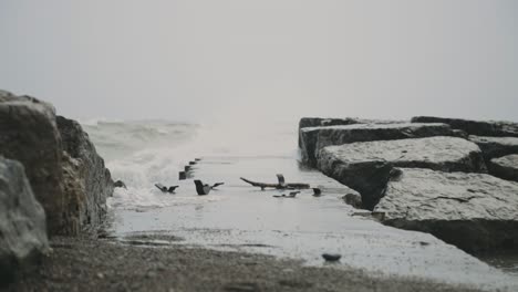 waves crashing over breakwater rocks and seawall at beach during stormy day