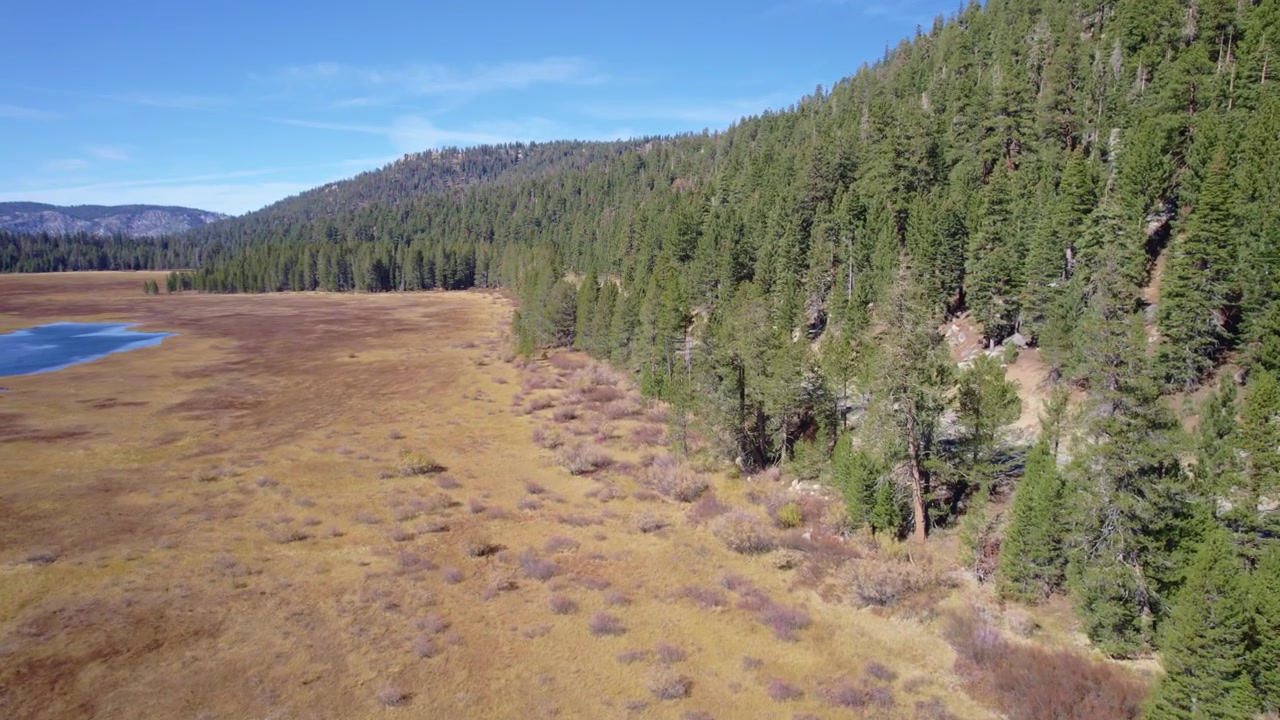 Naturskjønn droneutsikt over en naturlig alpin eng med sesongbaserte våtmarker, skogkant og ekspansivt åpent terreng.