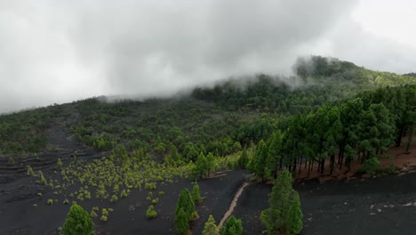 aerial view of a volcanic forest landscape with fog
