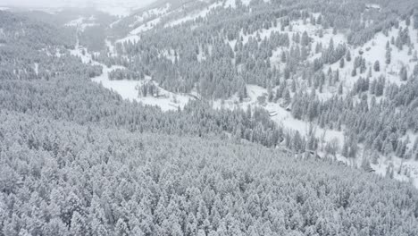 flying over a trailhead the morning after a big snowstorm
