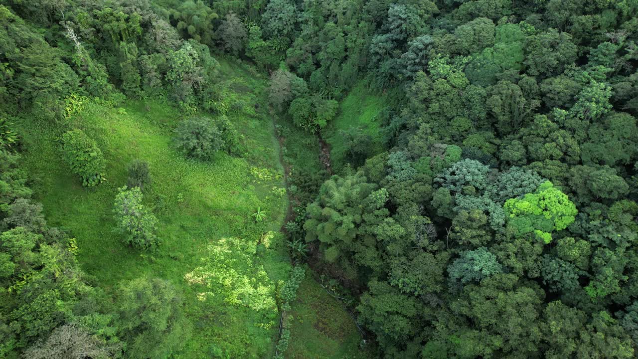 casa rural en el bosque de guadeloupe. aérea de arriba hacia abajo hacia atrás