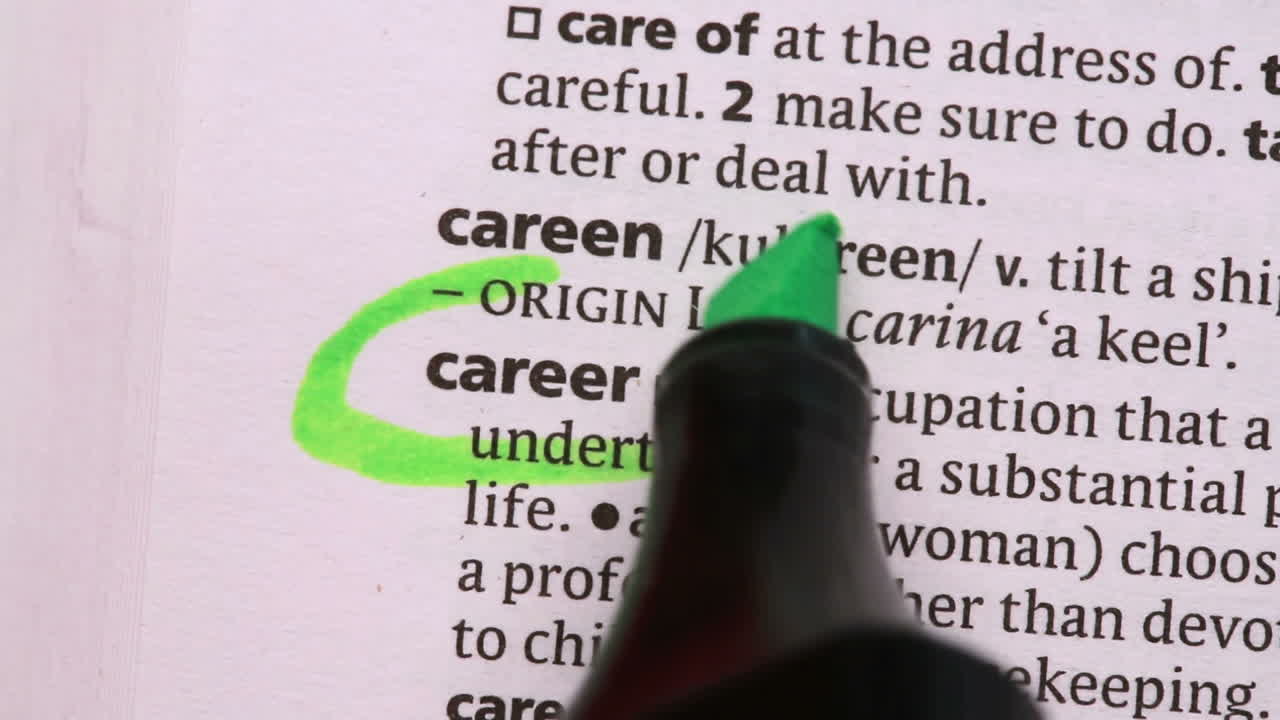 경력은 녹색 하이라이터로 둘러싸여 있습니다.