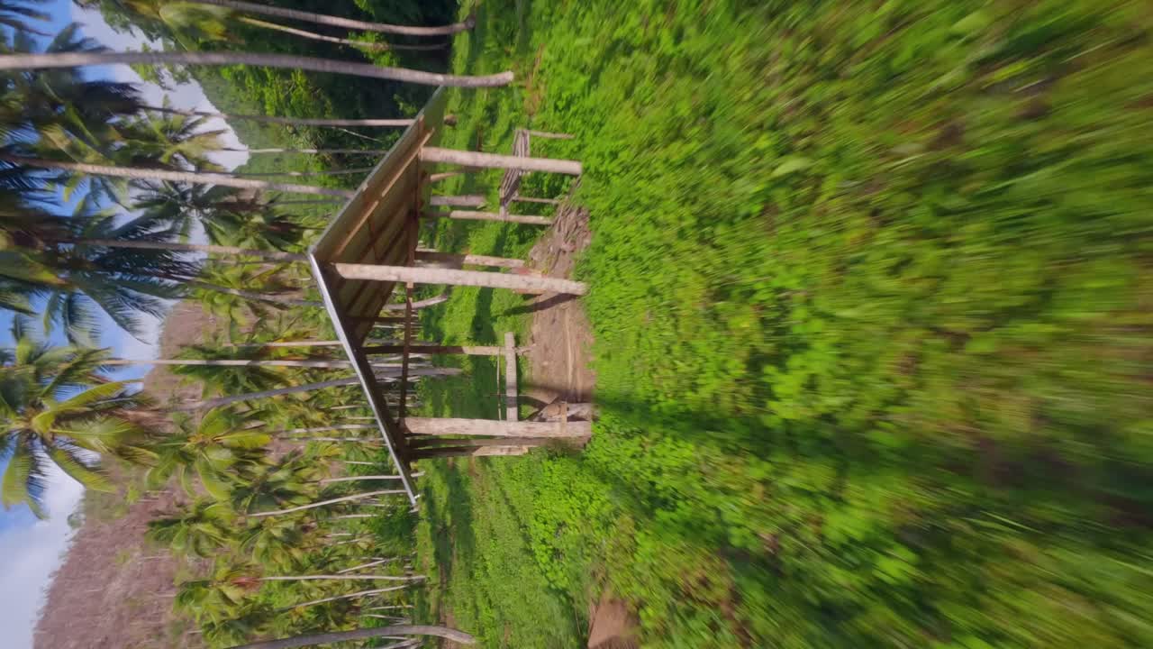 avión no tripulado fpv volando entre las palmeras en playa el valle playa, samana en la república dominicana