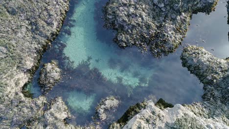 Großes-Felsenbecken-Mit-Türkisfarbenem-Wasser,-Ein-Perfekter-Lebensraum-Für-Wildtiere-An-Der-Küste
